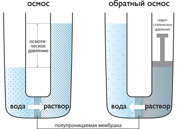 Процессы осмоса и обратного осмоса